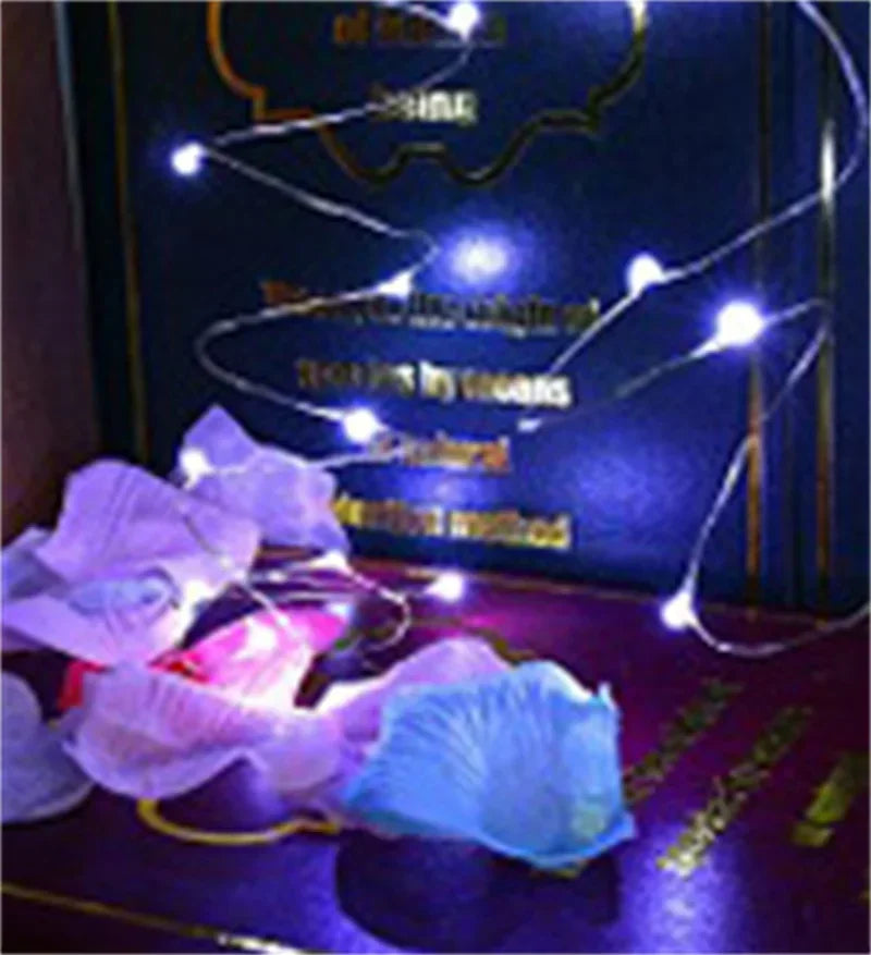 20m USB Fairy String Lights