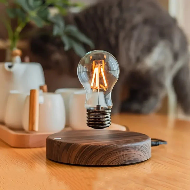 Levitating Moon Lamp